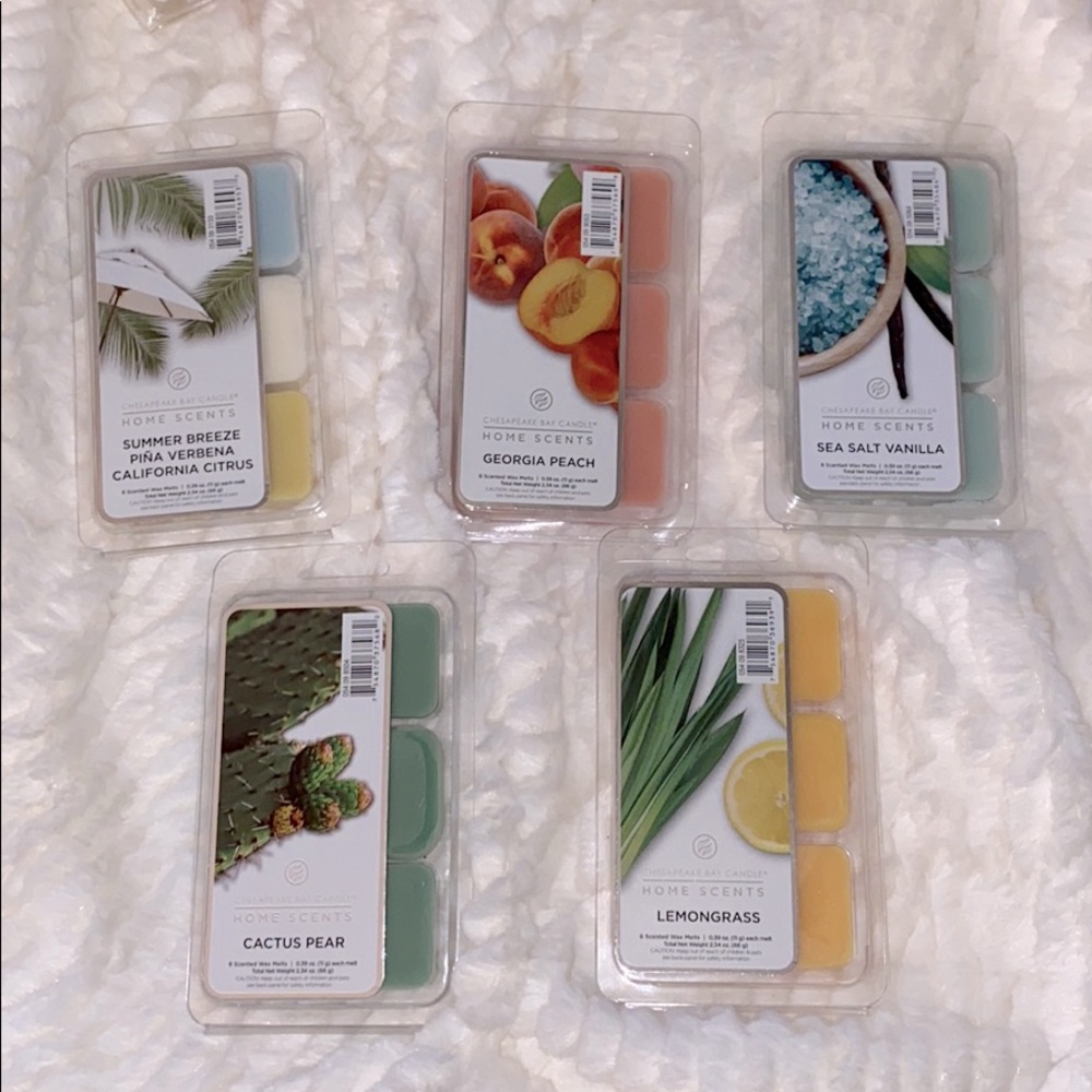 Chesapeake Bay wax melt bundle